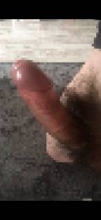 813583.jpg (136KB)