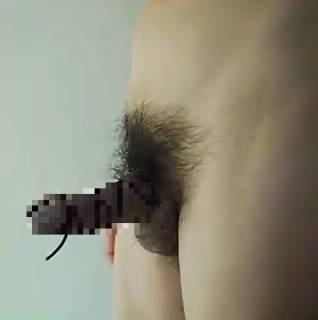 813643.png (205KB)