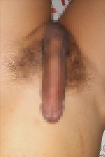 813688.jpg (397KB)
