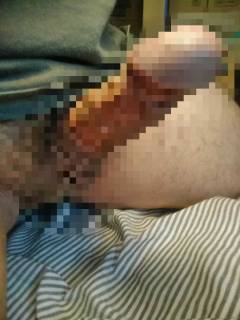 813731.jpg (12KB)