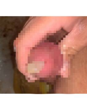 813758.jpg (62KB)