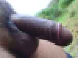 813839.jpg 
								(8KB)