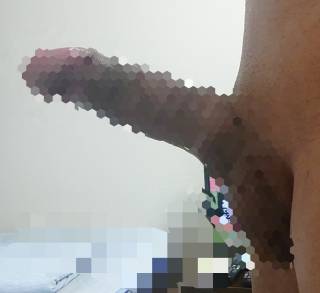 813916.jpg (100KB)