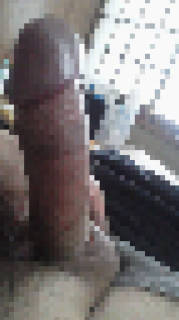 814232.jpg (163KB)