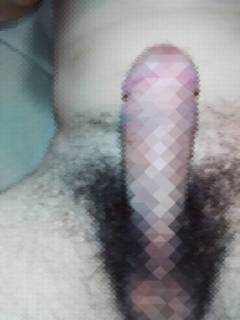 814270.jpg (31KB)