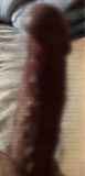 814335.jpg 
								(7KB)