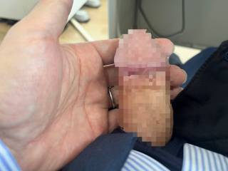 814391.jpg (433KB)
