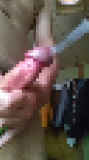 814534.jpg 
								(8KB)