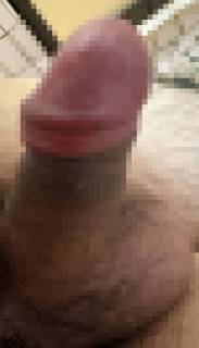 814622.jpg (338KB)