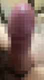 814623.jpg
(5KB)