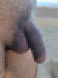 814697.jpg 
								(6KB)