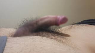 814886.jpg (391KB)
