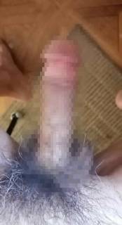 815220.jpg (227KB)