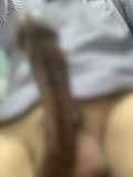 815278.jpg 
								(5KB)