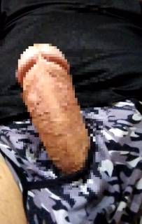 815310.jpg (396KB)
