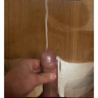 815396.gif (261KB)