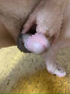 815481.jpg (73KB)