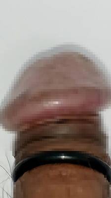 815536.jpg (264KB)