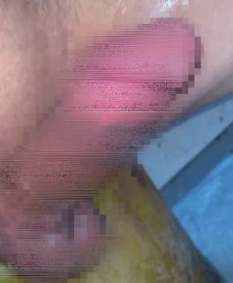 815550.jpg (378KB)