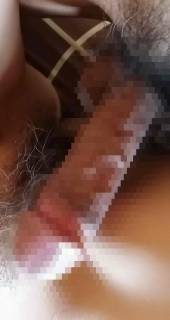 815604.jpg (188KB)