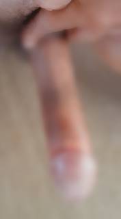 815687.jpg (300KB)