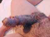 815859.jpg 
								(9KB)
