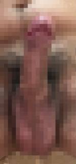 815870.png (186KB)
