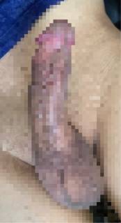 815883.jpg (187KB)