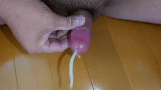 815891.jpg (26KB)