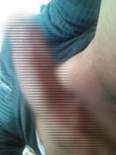 815978.jpg (167KB)