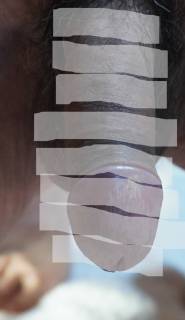 816039.jpg (377KB)