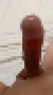 816057.gif (366KB)