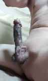 816158.jpg 
								(6KB)