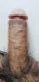 816284.jpg 
								(5KB)