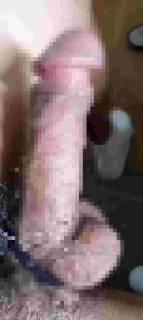 816317.jpg (252KB)