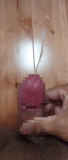 816457.jpg 
								(5KB)