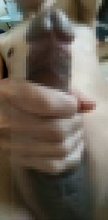 816615.jpg (47KB)