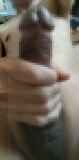816615.jpg 
								(5KB)
