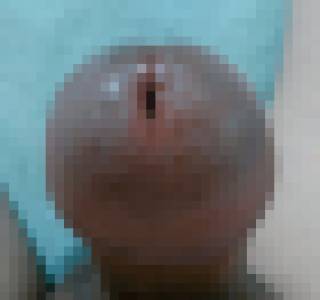 816630.gif (418KB)