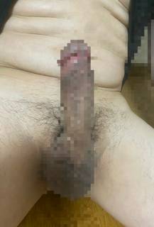816660.jpg (56KB)