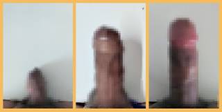 816667.jpg (137KB)