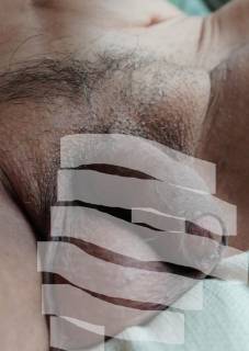 816829.jpg (239KB)