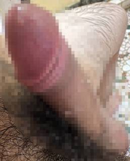 816936.jpg (161KB)