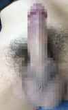 817058.jpg
(7KB)