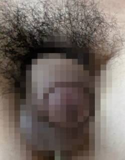 817086.jpg (154KB)