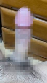 817146.jpg (154KB)