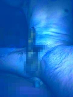 817154.jpg (59KB)