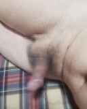 817306.jpg 
								(7KB)