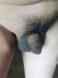 817314.jpg 
								(7KB)