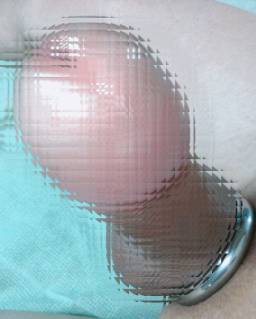 817397.gif (463KB)